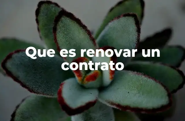 Que es Renovar un Contrato