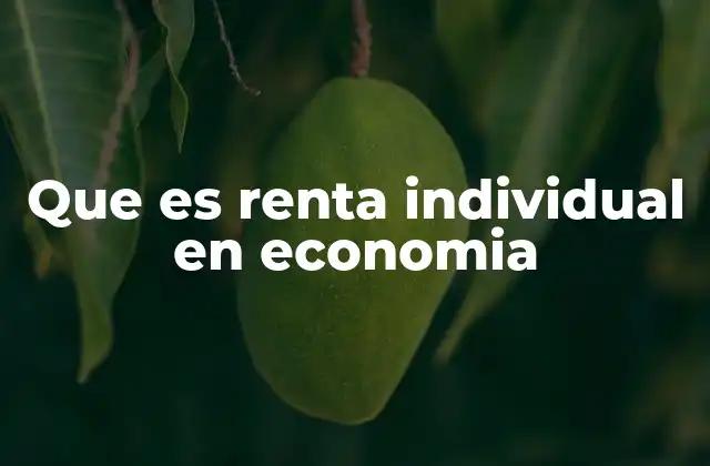Que es Renta Individual en Economia