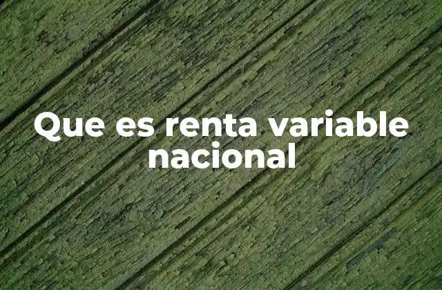 Que es Renta Variable Nacional 2 El papel de la renta variable en la economía nacional