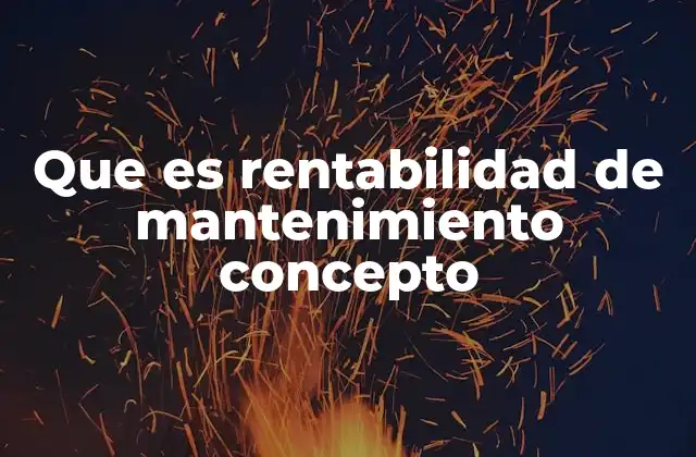Que es Rentabilidad de Mantenimiento Concepto