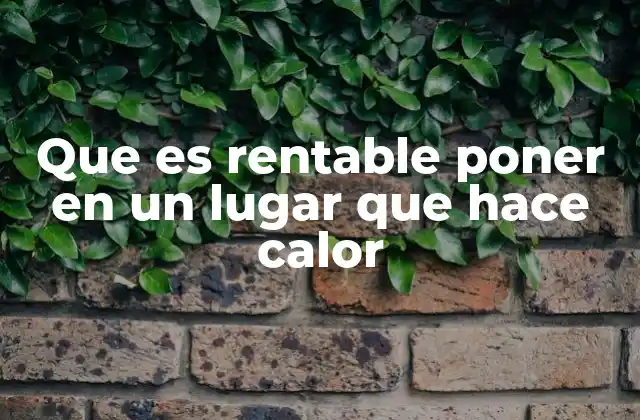 Que es Rentable Poner en un Lugar que Hace Calor