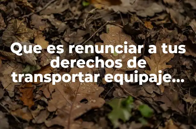 Que es Renunciar a Tus Derechos de Transportar Equipaje Documentado
