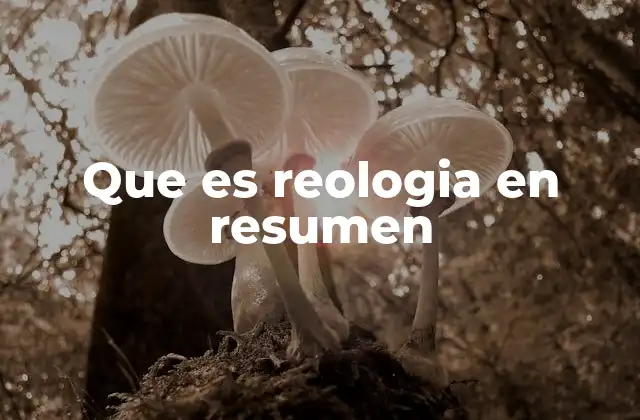 Que es Reologia en Resumen 2 La ciencia detrás del comportamiento de los materiales bajo esfuerzo