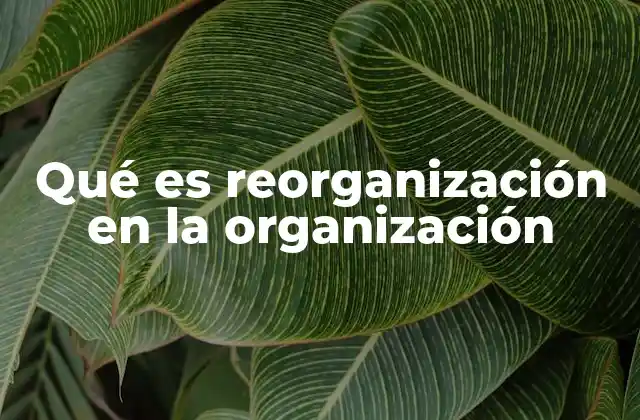 Qué es Reorganización en la Organización