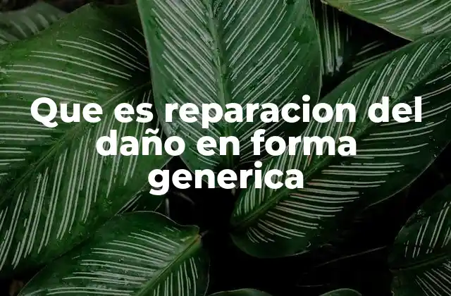 Que es Reparacion Del Daño en Forma Generica