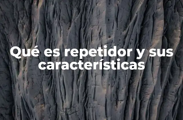 Qué es Repetidor y Sus Características