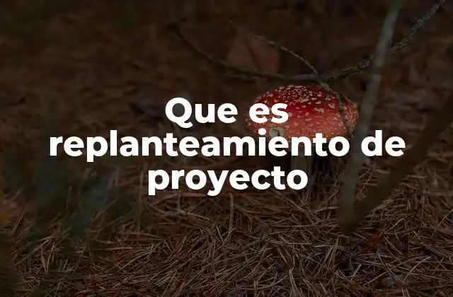 Que es Replanteamiento de Proyecto