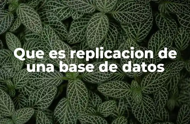 Que es Replicacion de una Base de Datos