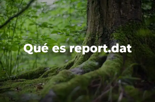 Qué es Report.dat