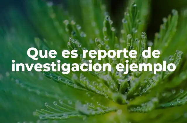 Que es Reporte de Investigacion Ejemplo