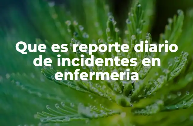 Que es Reporte Diario de Incidentes en Enfermeria
