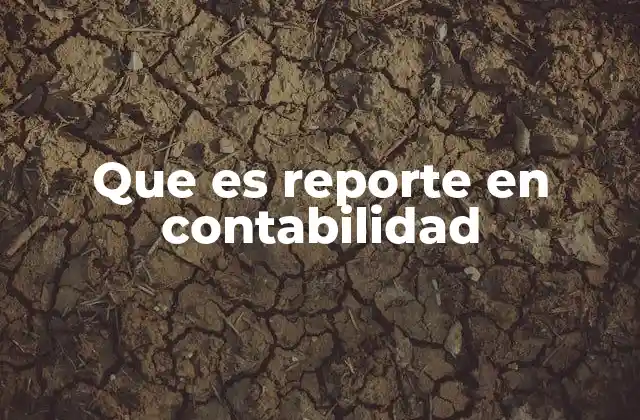 Que es Reporte en Contabilidad
