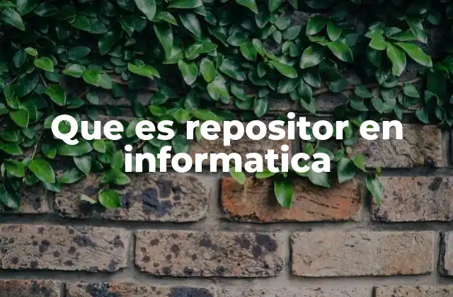 Que es Repositor en Informatica