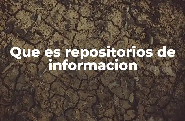 Que es Repositorios de Informacion