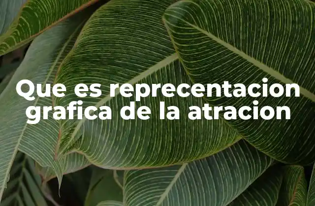 La importancia de las representaciones visuales en la comprensión de la atracción