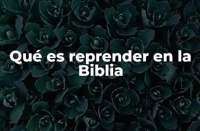 Qué es Reprender en la Biblia
