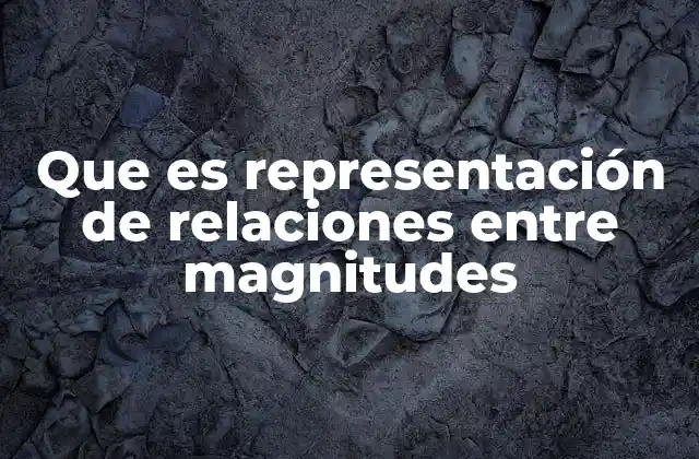 Que es Representación de Relaciones entre Magnitudes