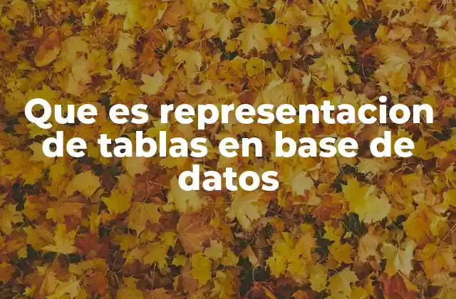 Que es Representacion de Tablas en Base de Datos