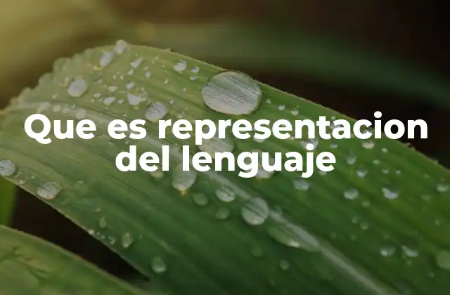 Cómo se estructura la representación del lenguaje en el cerebro