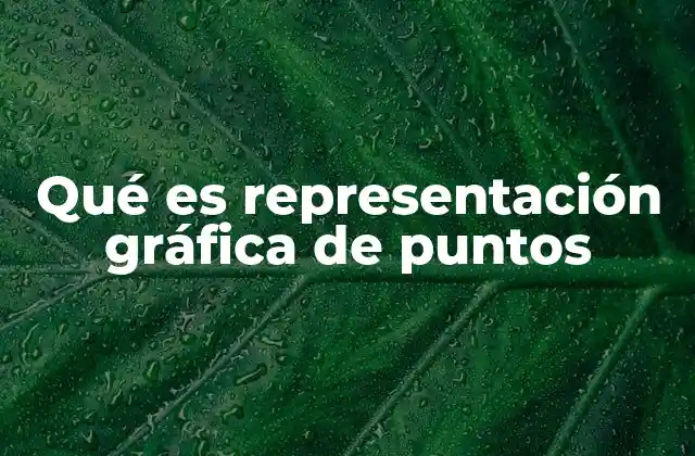Qué es Representación Gráfica de Puntos 2 La importancia de visualizar datos mediante puntos