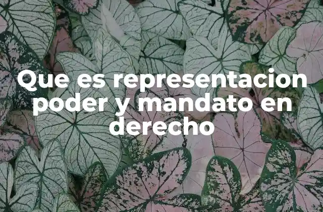Diferencias entre representación, poder y mandato