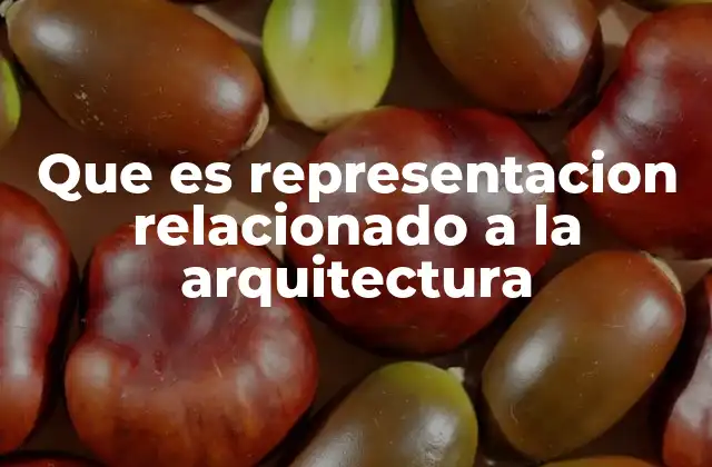 Que es Representacion Relacionado a la Arquitectura
