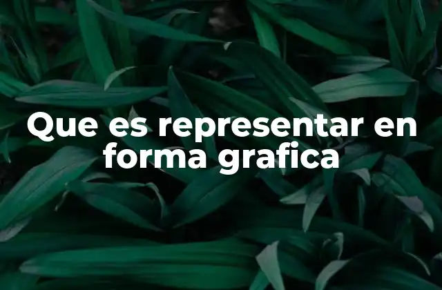 Que es Representar en Forma Grafica 2 Cómo se utiliza la representación gráfica en diferentes campos