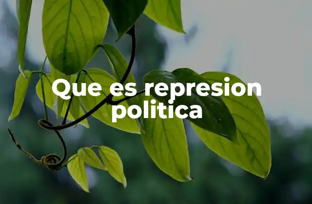 Que es Represion Politica
