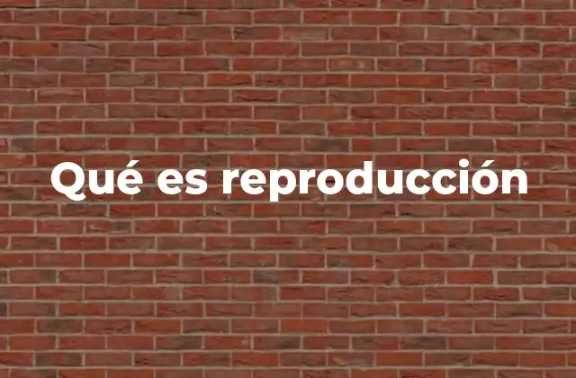 Qué es Reproducción