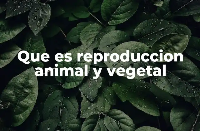 Que es Reproduccion Animal y Vegetal