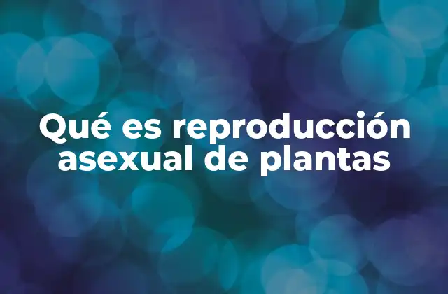 Qué es Reproducción Asexual de Plantas
