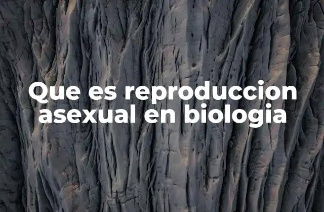 Que es Reproduccion Asexual en Biologia