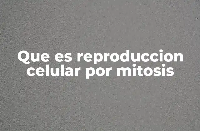 Que es Reproduccion Celular por Mitosis