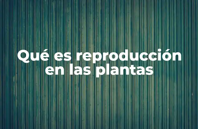 Qué es Reproducción en las Plantas