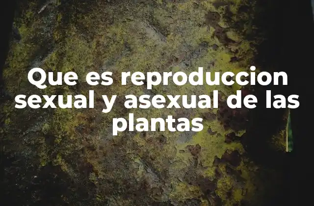 Que es Reproduccion Sexual y Asexual de las Plantas