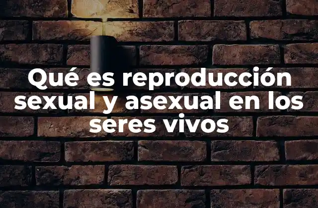 Qué es Reproducción Sexual y Asexual en los Seres Vivos