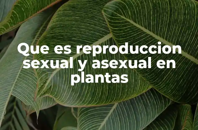 Que es Reproduccion Sexual y Asexual en Plantas