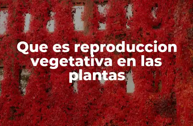 Que es Reproduccion Vegetativa en las Plantas