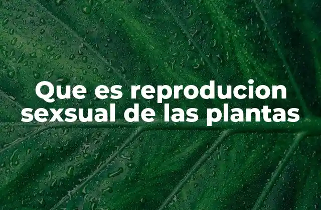 El proceso de reproducción sexual en las plantas