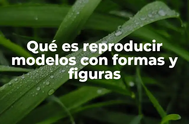 Qué es Reproducir Modelos con Formas y Figuras