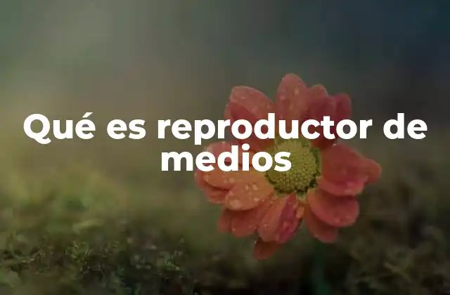 Qué es Reproductor de Medios