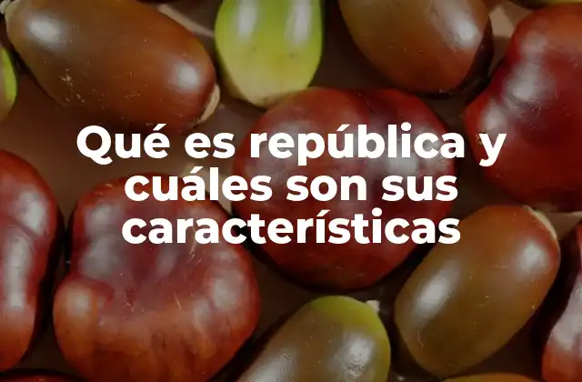 El sistema político basado en la participación ciudadana