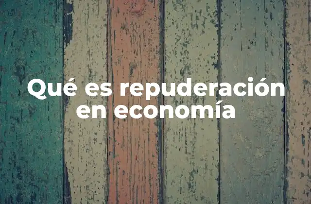 Qué es Repuderación en Economía