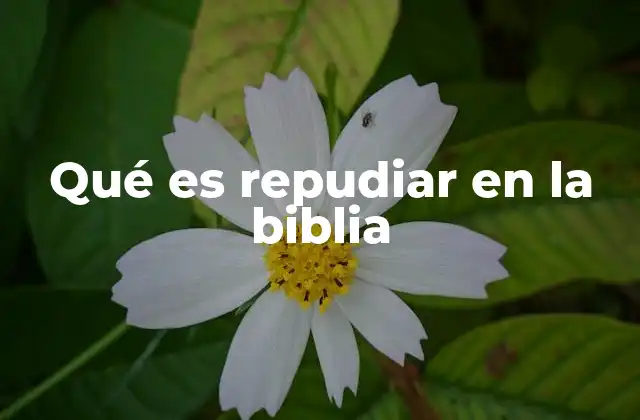 Qué es Repudiar en la Biblia