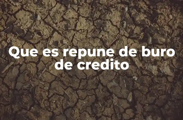 Que es Repune de Buro de Credito