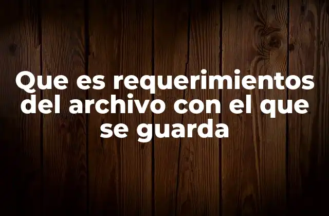 Que es Requerimientos Del Archivo con el que Se Guarda