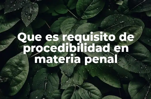 Que es Requisito de Procedibilidad en Materia Penal