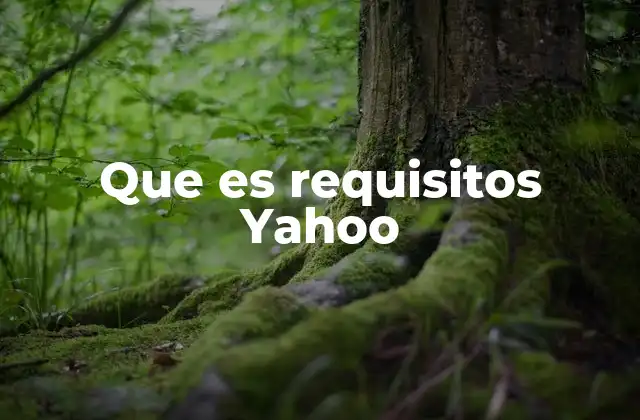 Que es Requisitos Yahoo