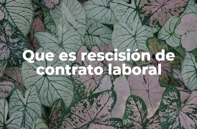 Que es Rescisión de Contrato Laboral