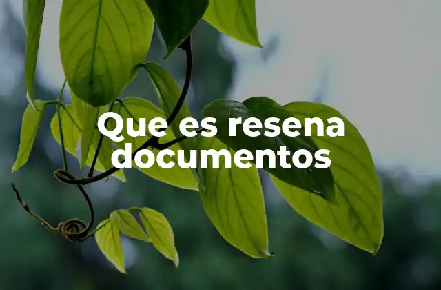 Que es Resena Documentos